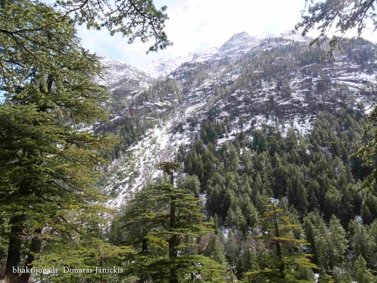 3 gangotri 2023 02 27