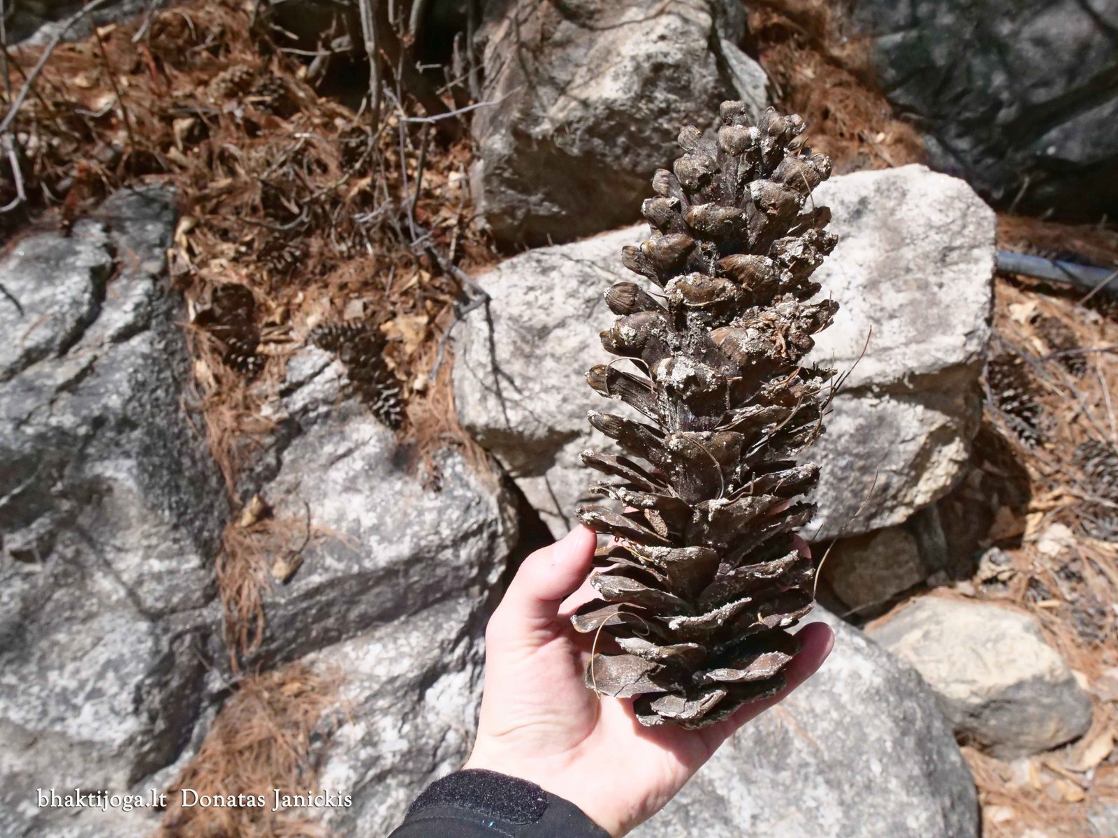 22 gangotri 2023 02 27