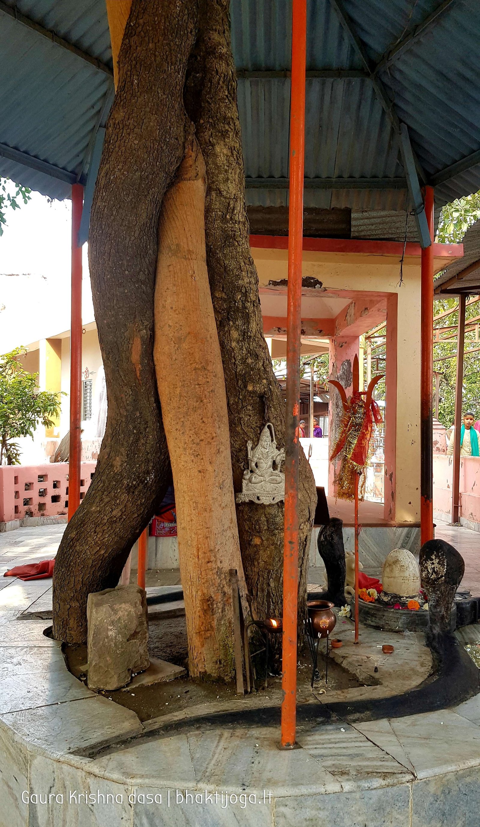 3 chandi devi temple haridwar 2020 02 19