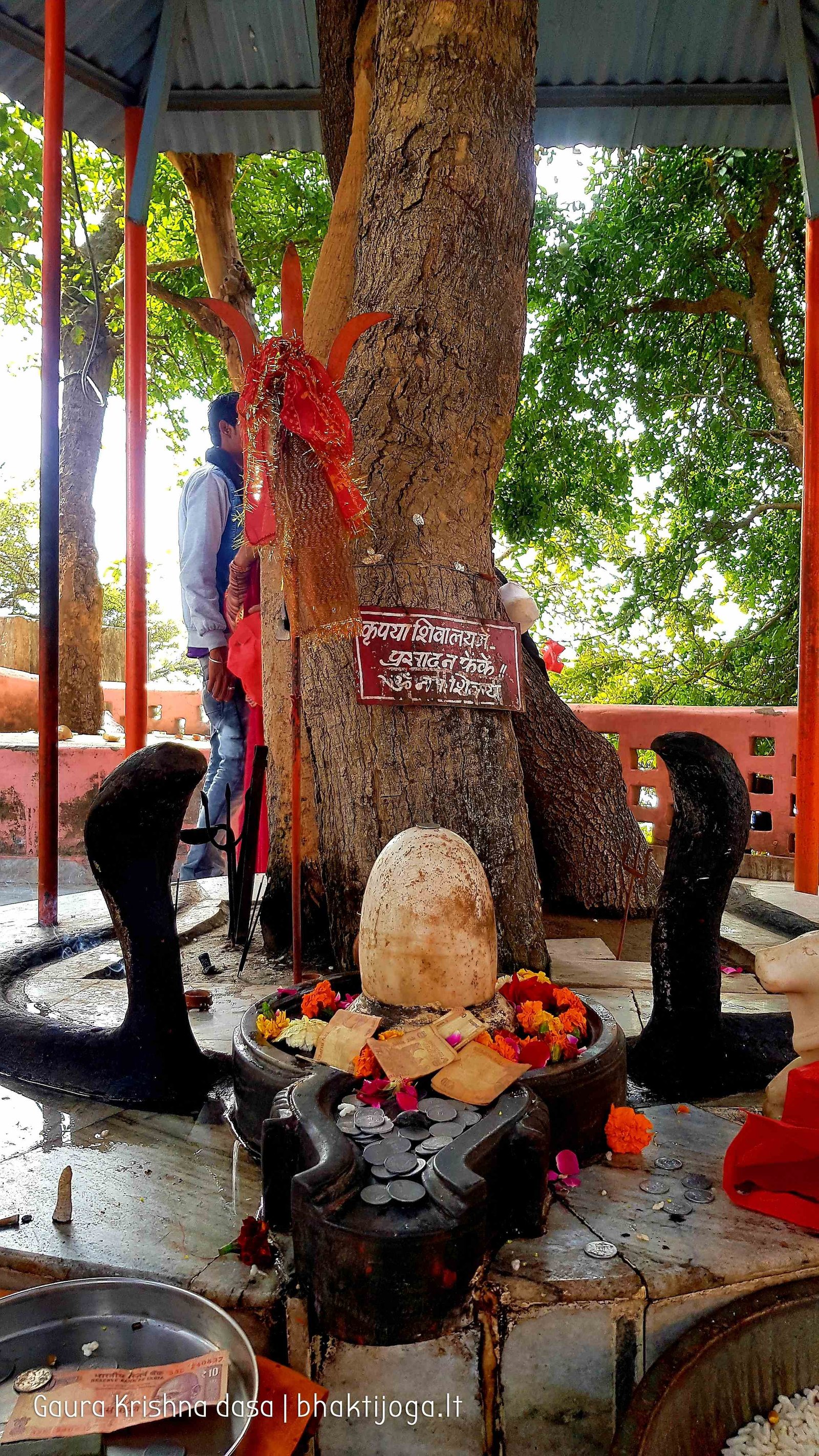 4 chandi devi temple haridwar 2020 02 19