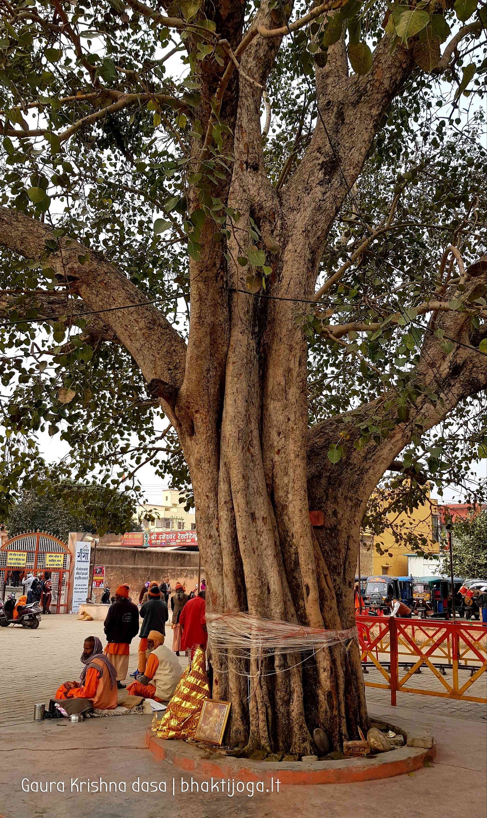 14 kankhal haridwar 2020 02 21