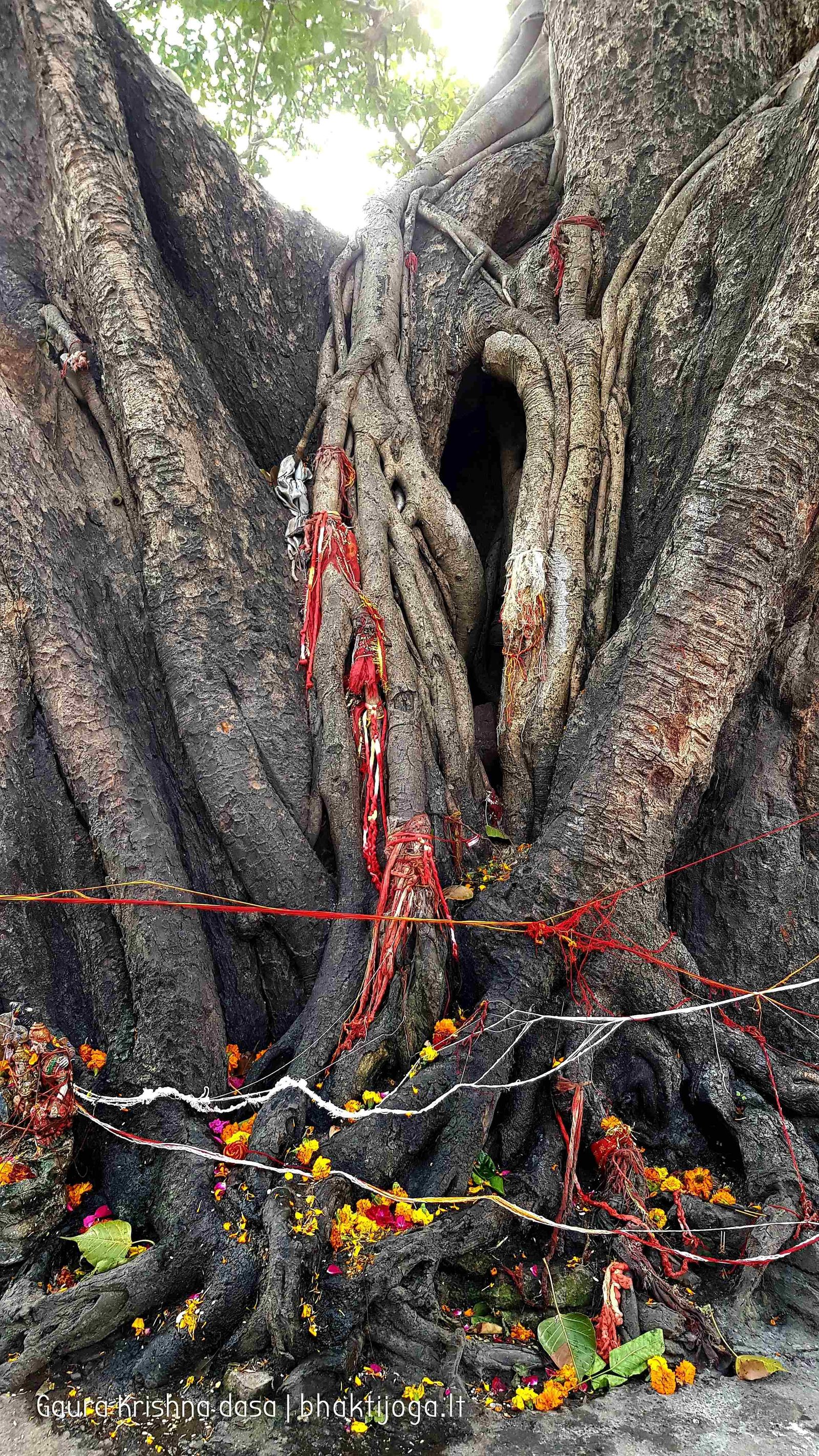 4 kankhal haridwar 2020 02 21