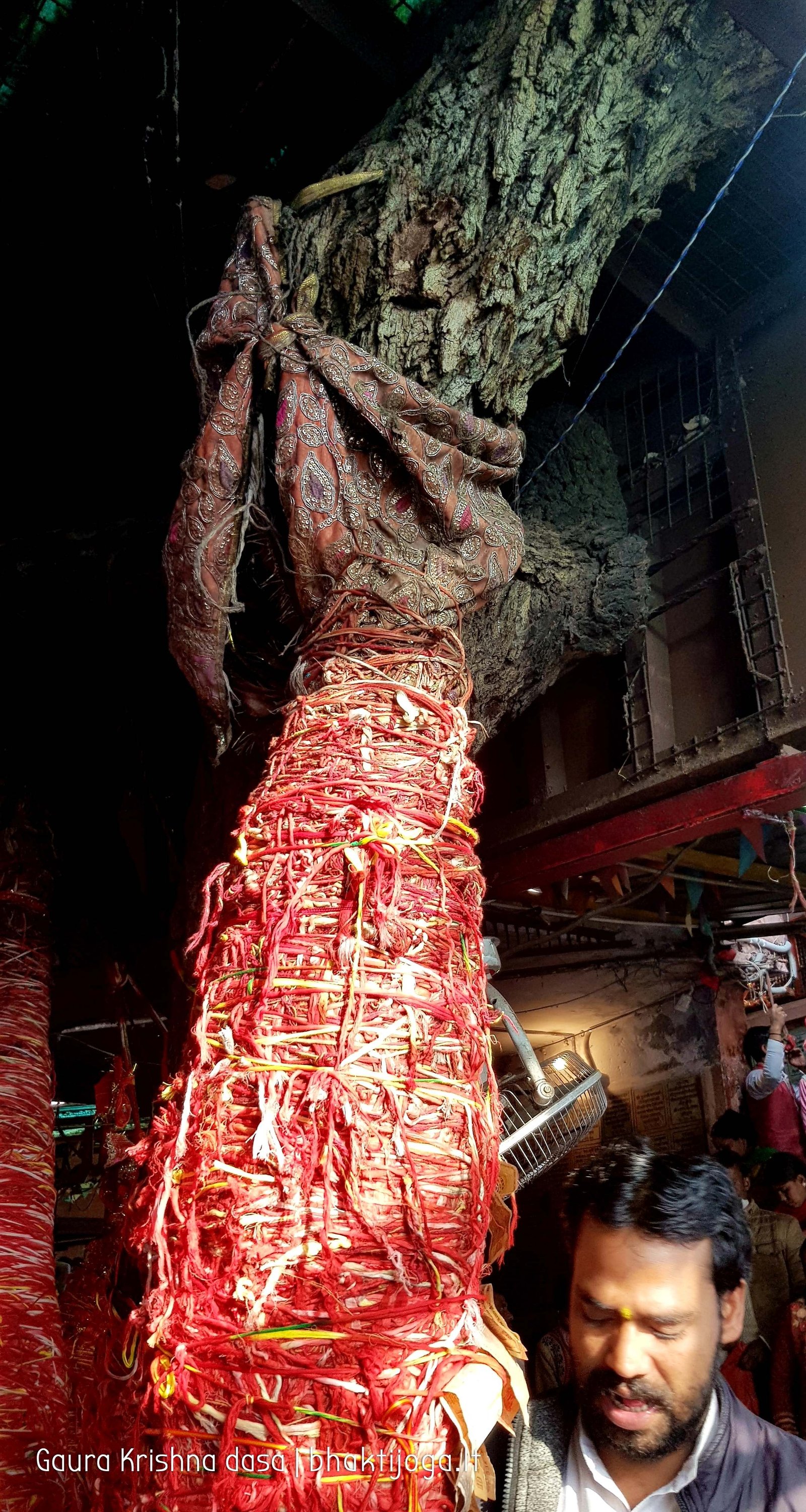 6 mansa devi temple haridwar 2020 02 21