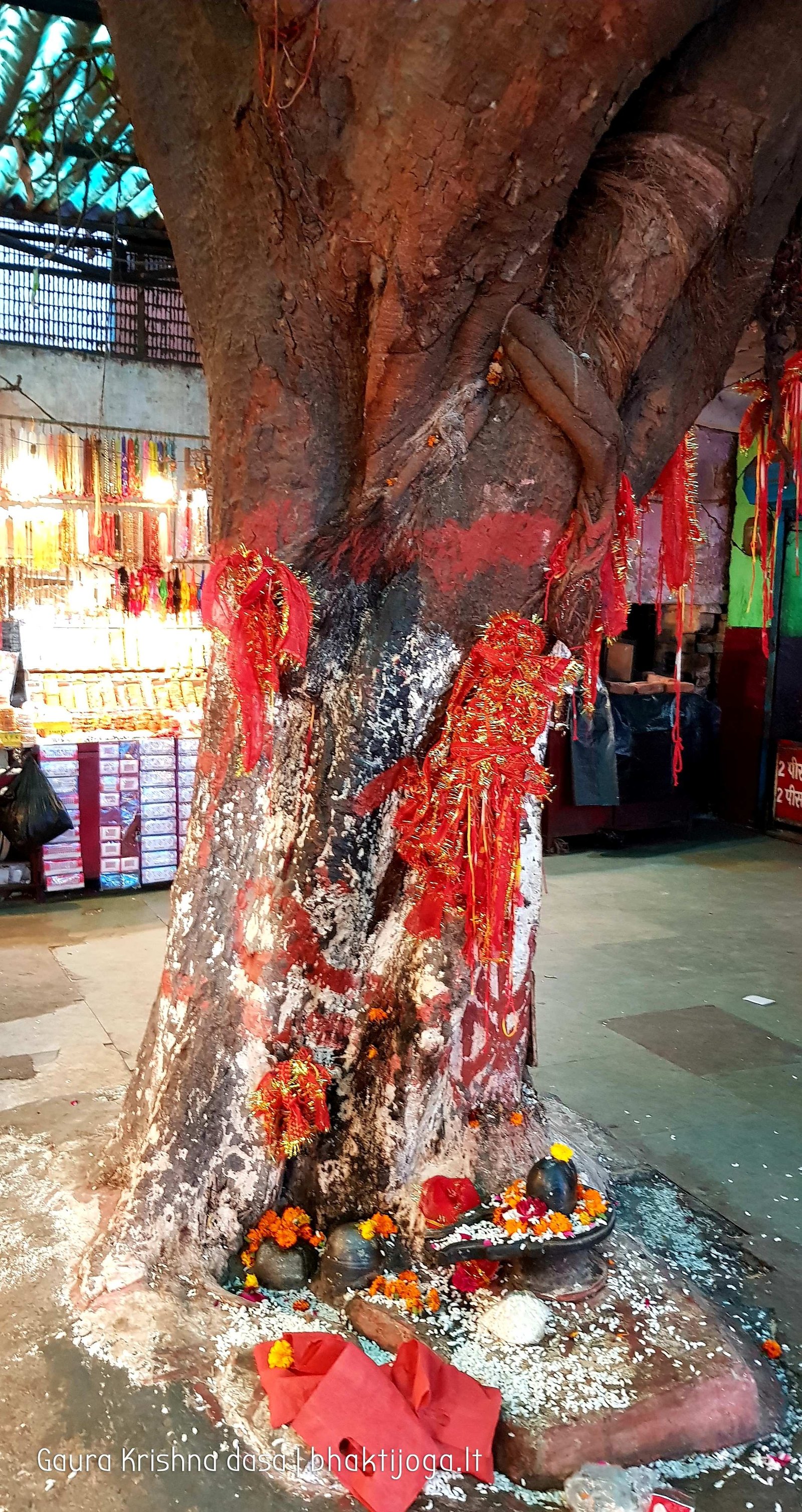 8 mansa devi temple haridwar 2020 02 21