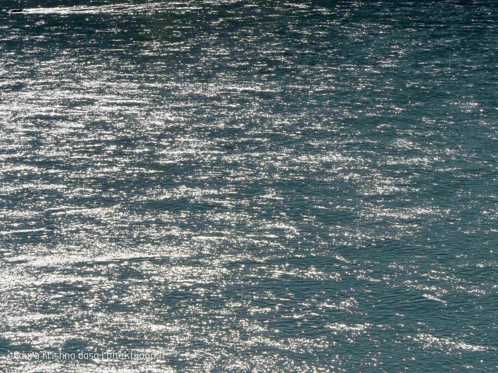 16 ganga rishikesh 2020.02.19 20