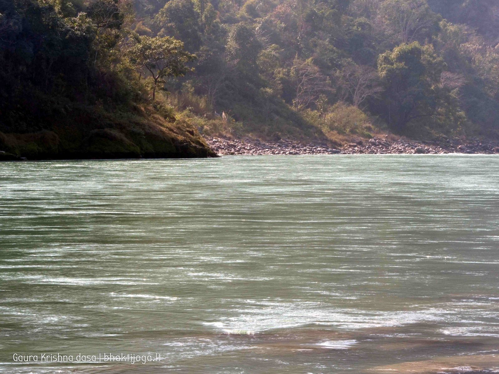 58 ganga rishikesh 2020.02.19 20
