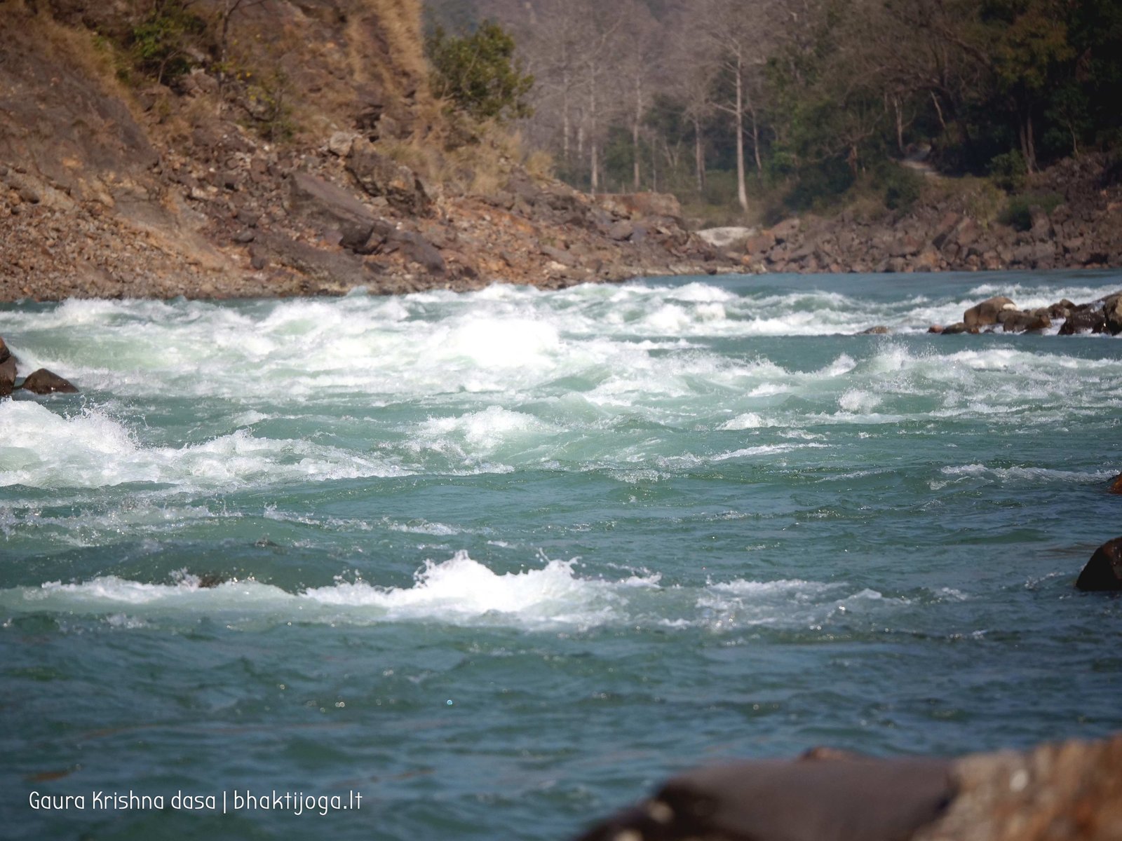 67 ganga rishikesh 2020.02.19 20
