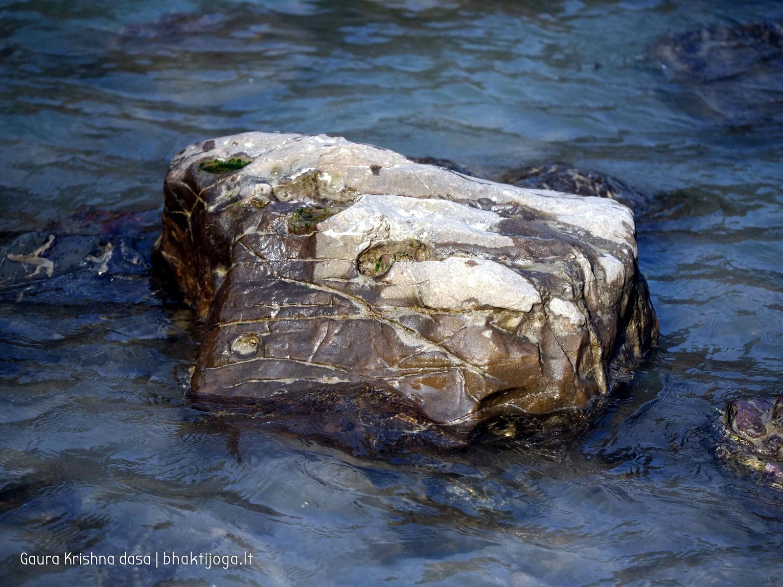 71 ganga rishikesh 2020.02.19 20