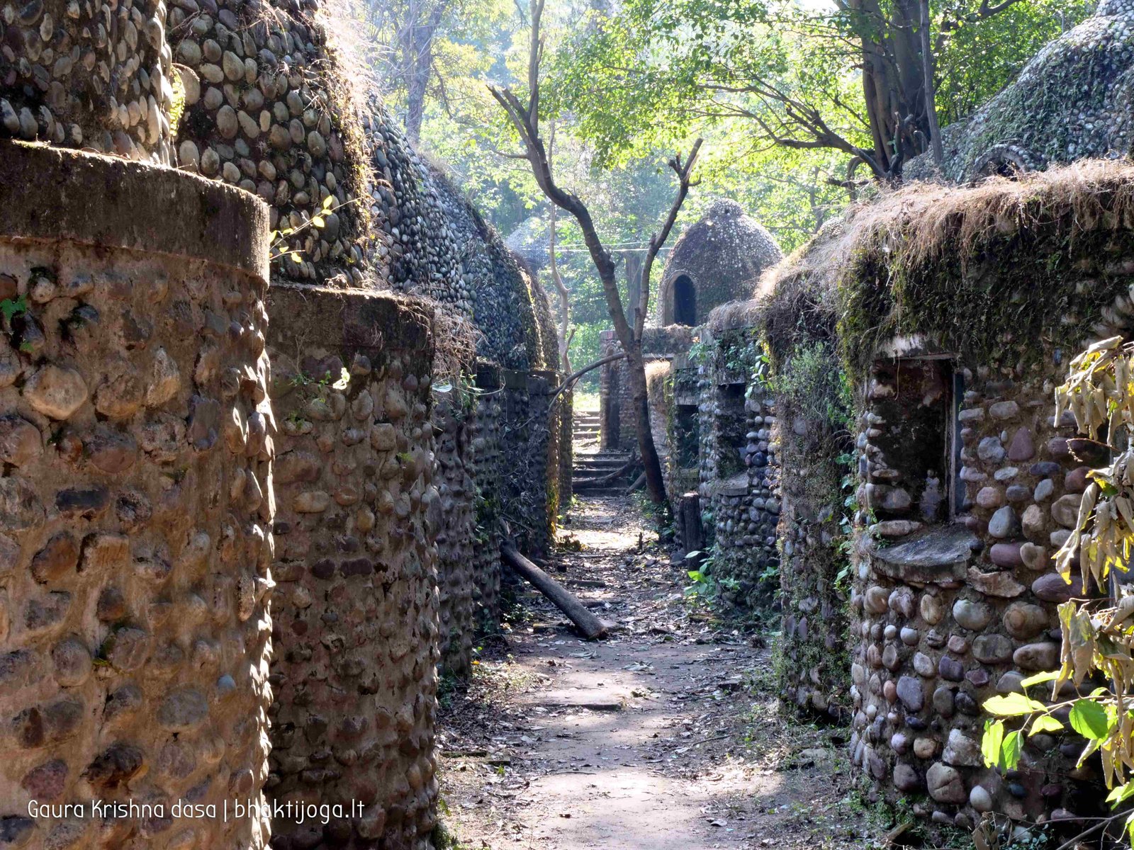 11 maharishi mahesh yogis ashram rishikesh 2020 02 20