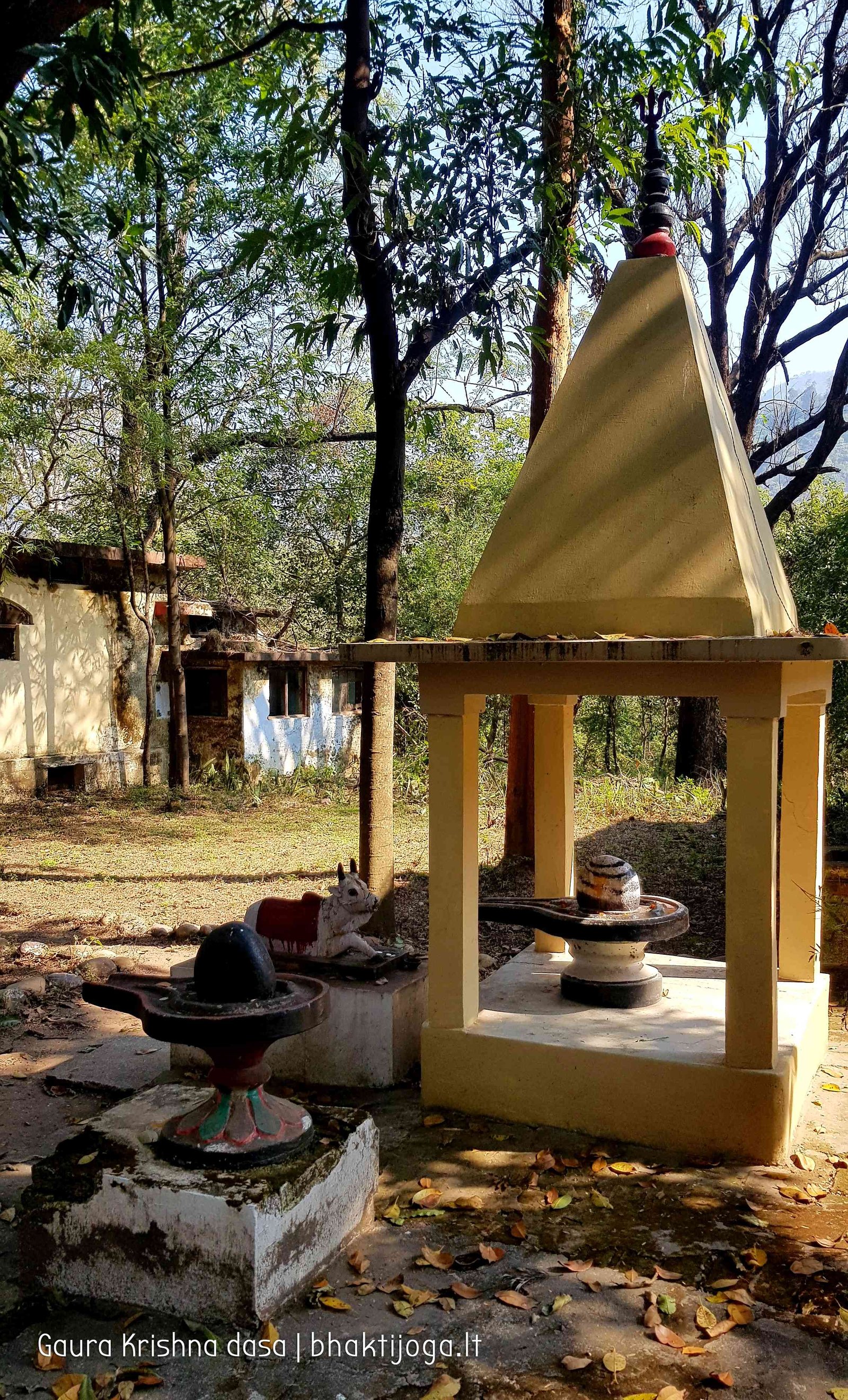 5 maharishi mahesh yogis ashram rishikesh 2020 02 20