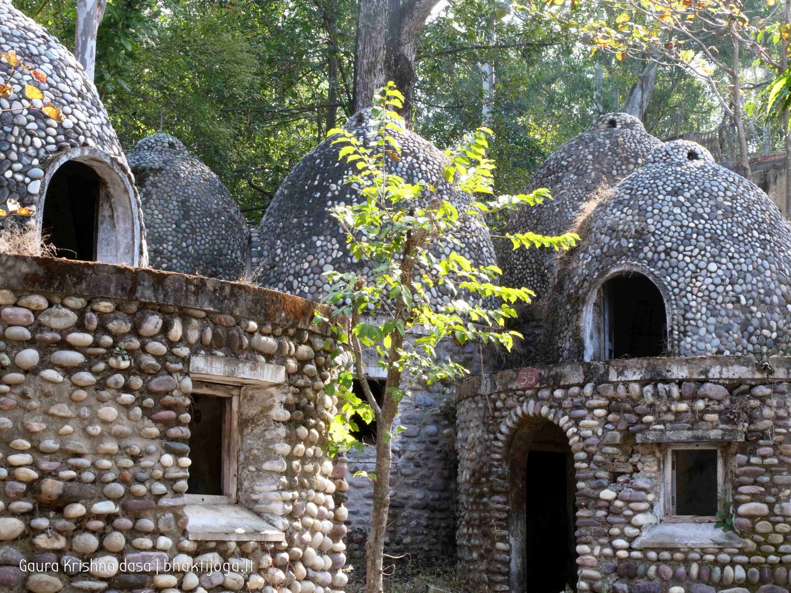 7 maharishi mahesh yogis ashram rishikesh 2020 02 20