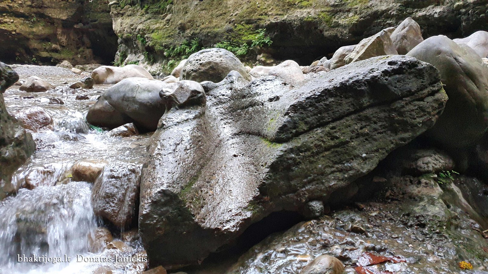 12 robbers cave 2023 02 24