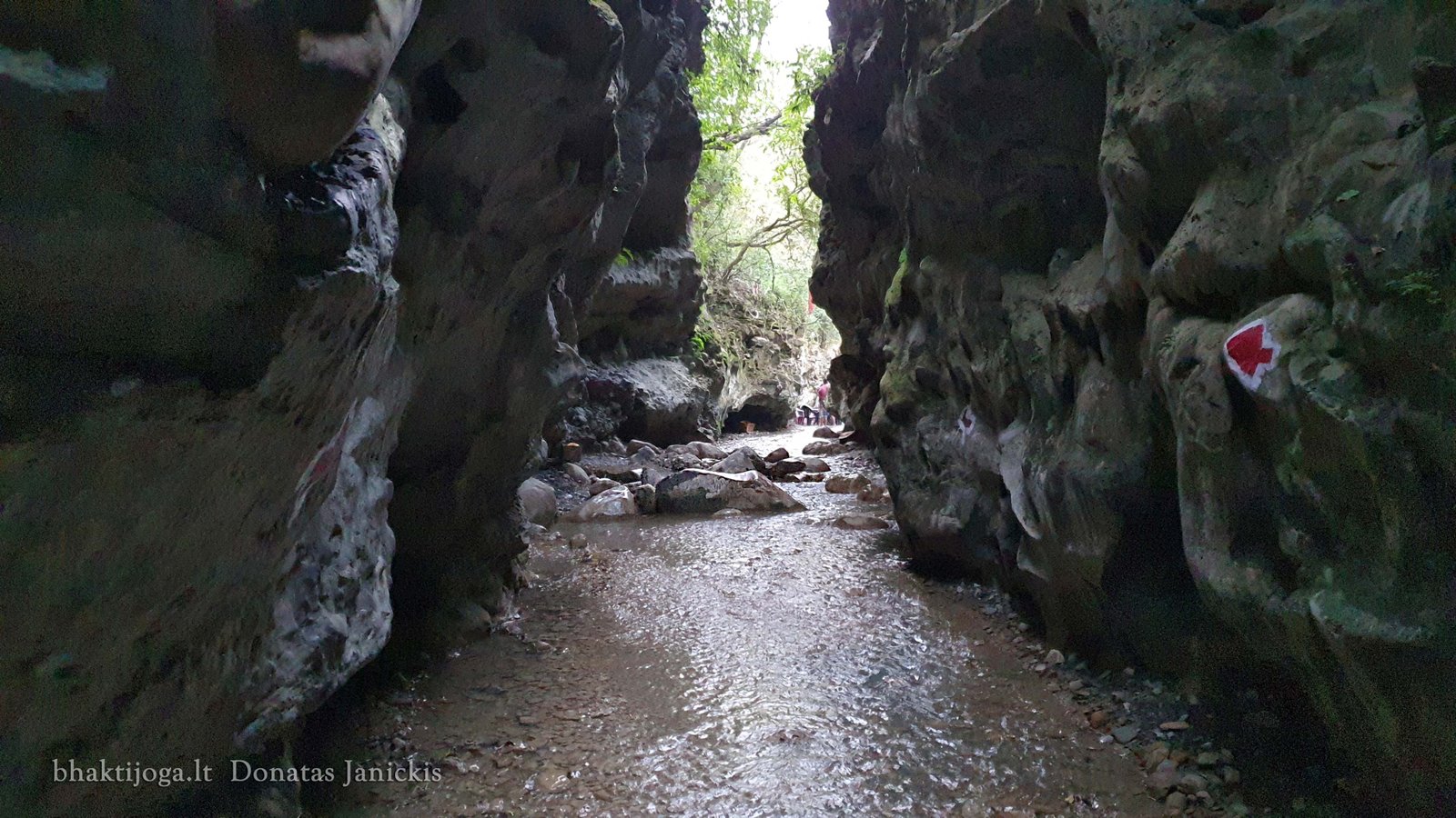 15 robbers cave 2023 02 24