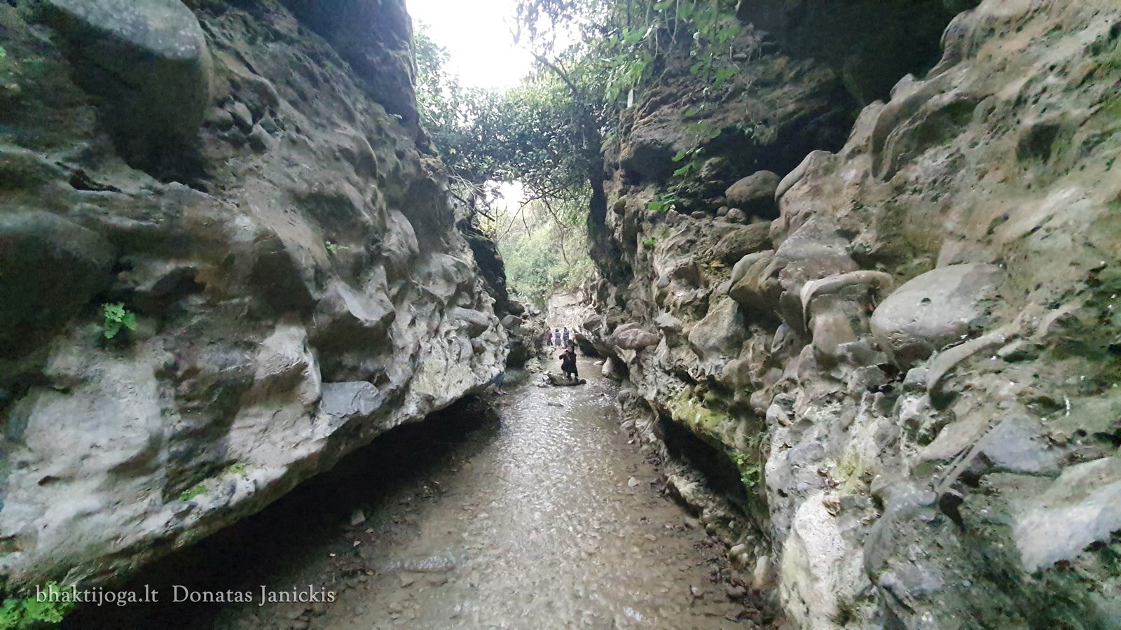 17 robbers cave 2023 02 24