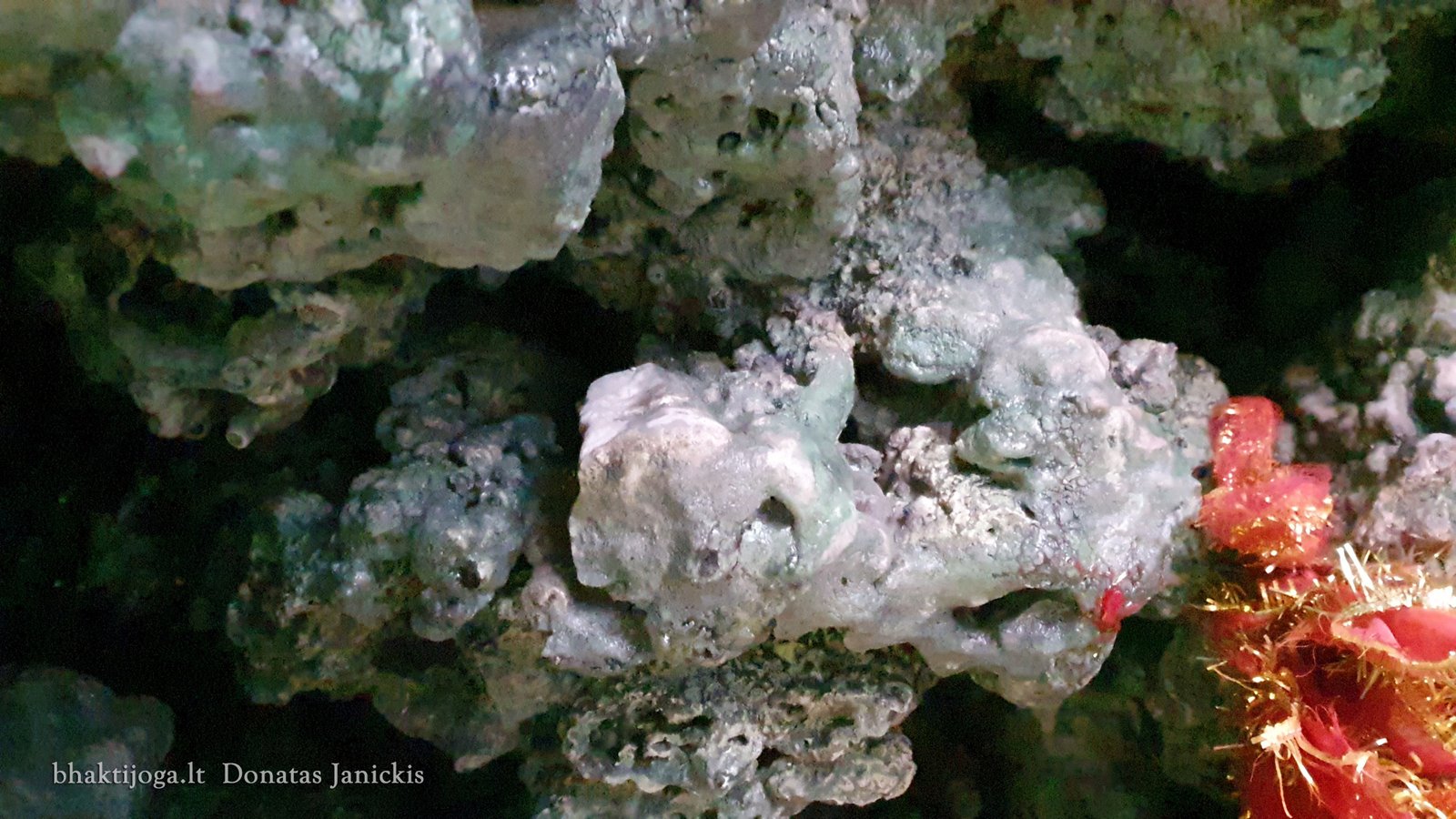 2 shiva lingam sahastra dhara 2023 02 24