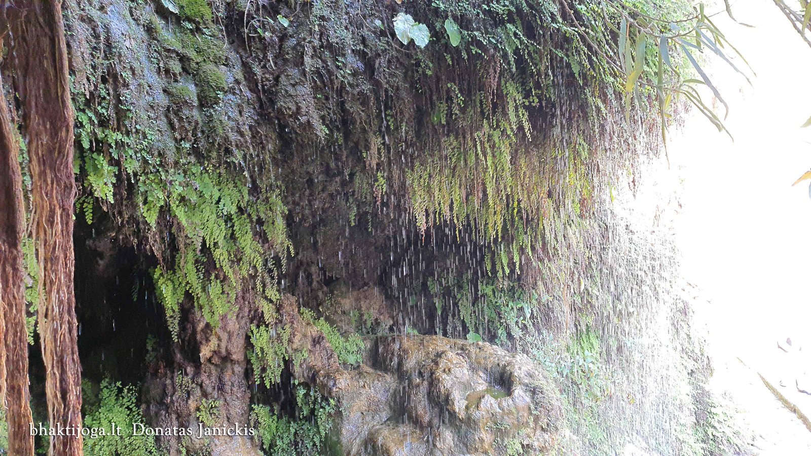 11 sahastra dhara 2023 02 24