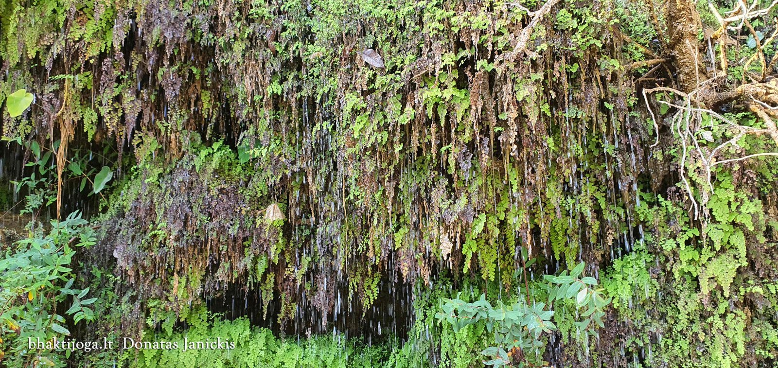 5 sahastra dhara 2023 02 24