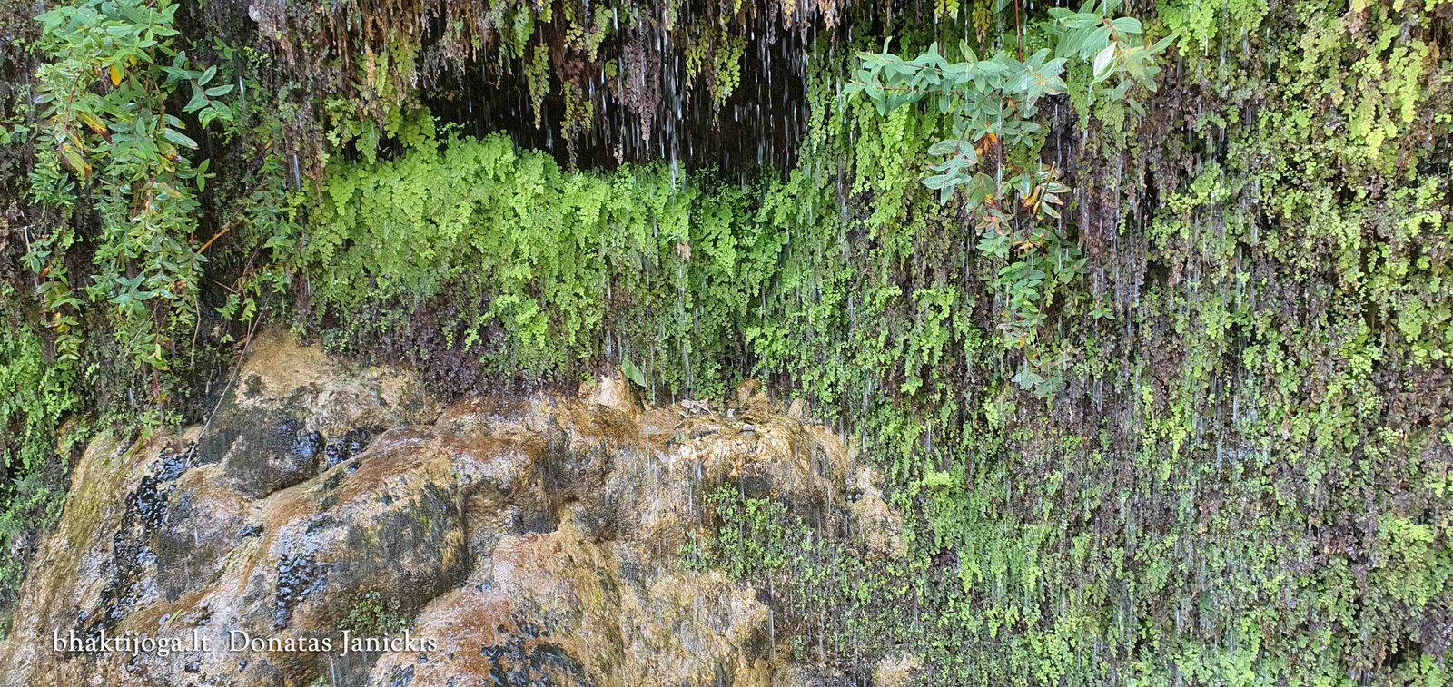 6 sahastra dhara 2023 02 24