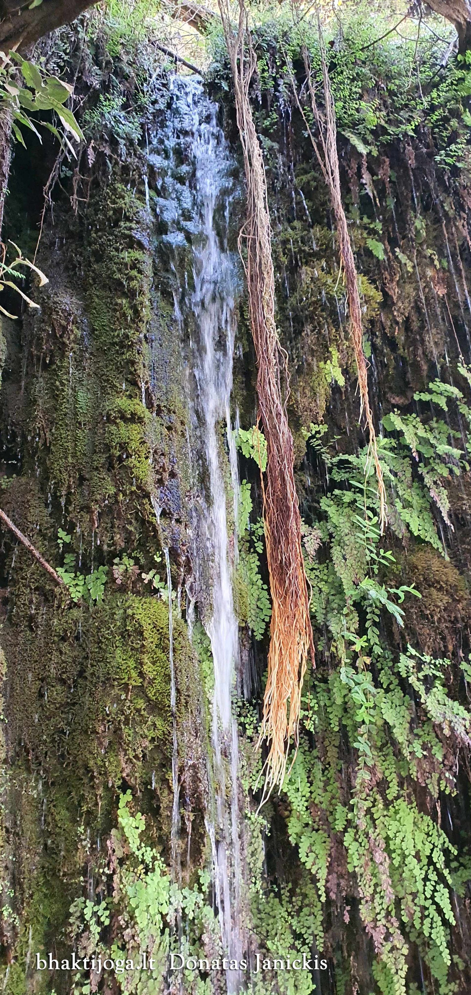 9 sahastra dhara 2023 02 24