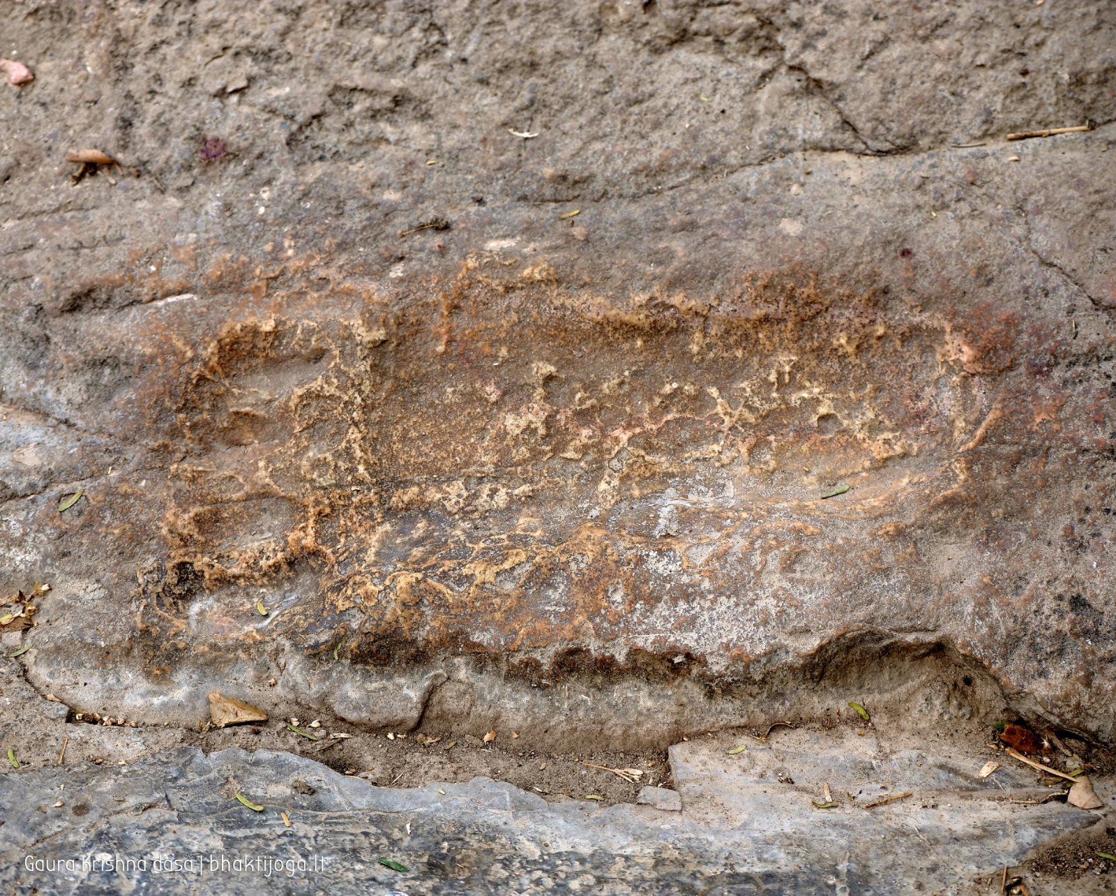 11 badabhaitan 2019 12 18