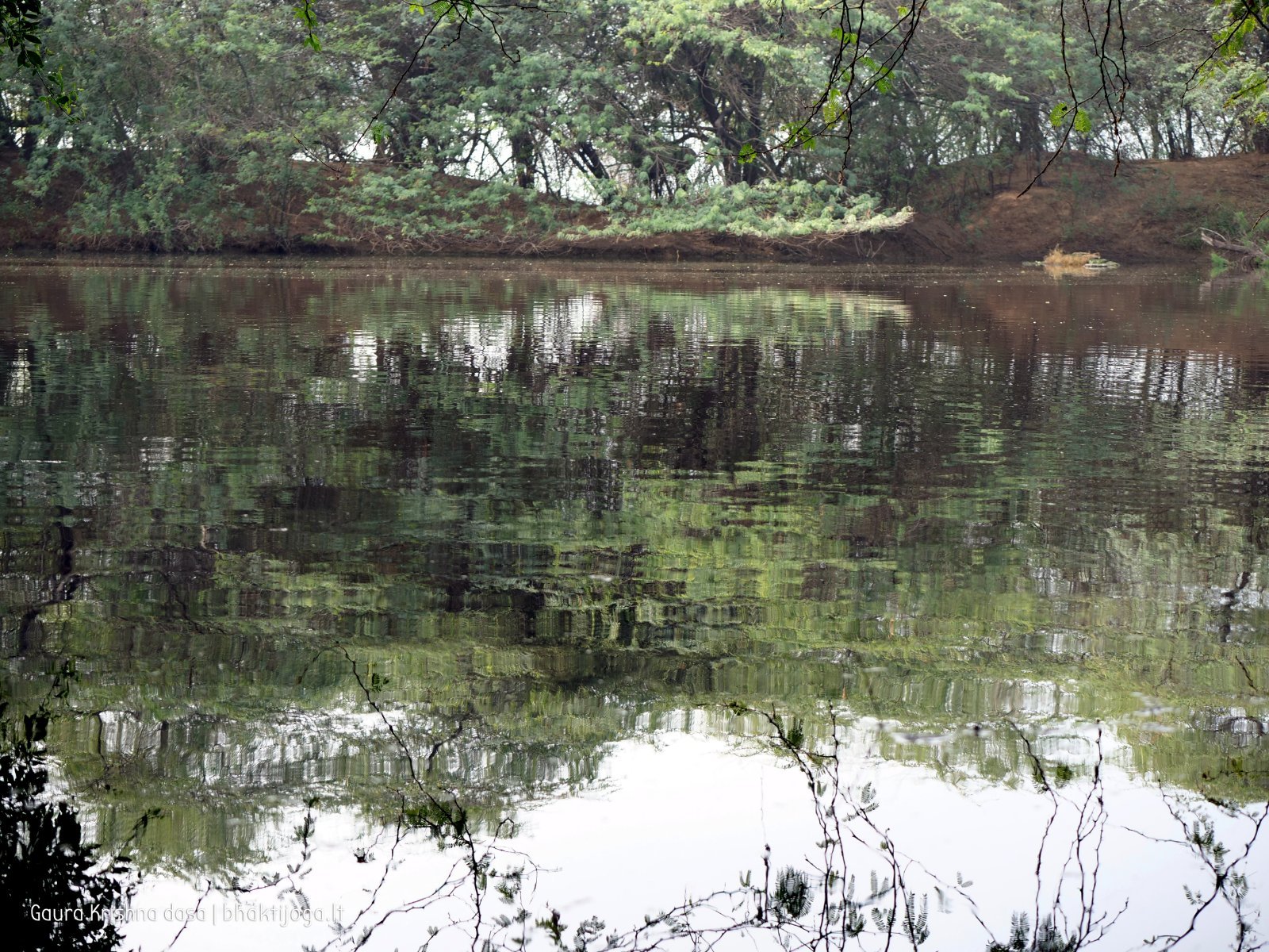 14 badabhaitan 2019 12 18