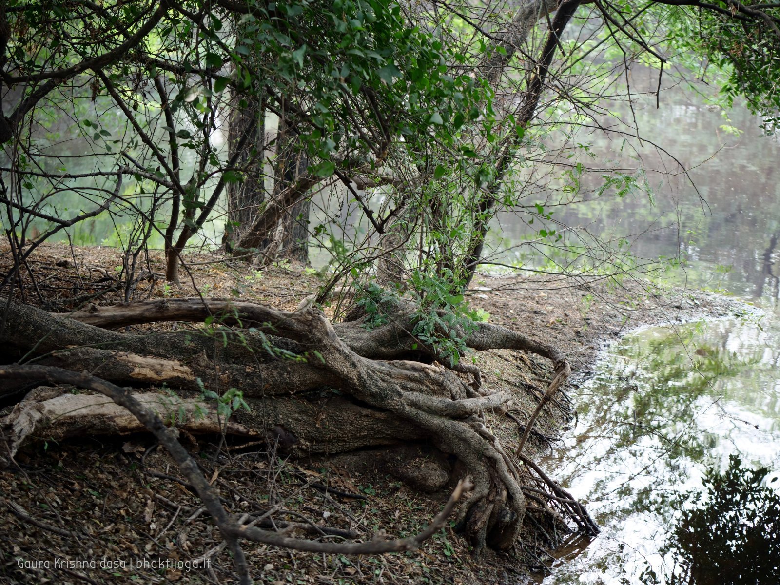 15 badabhaitan 2019 12 18