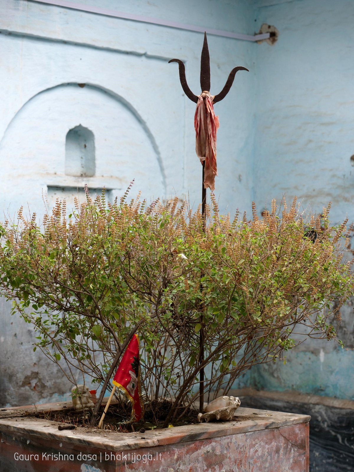 4 badabhaitan 2019 12 18