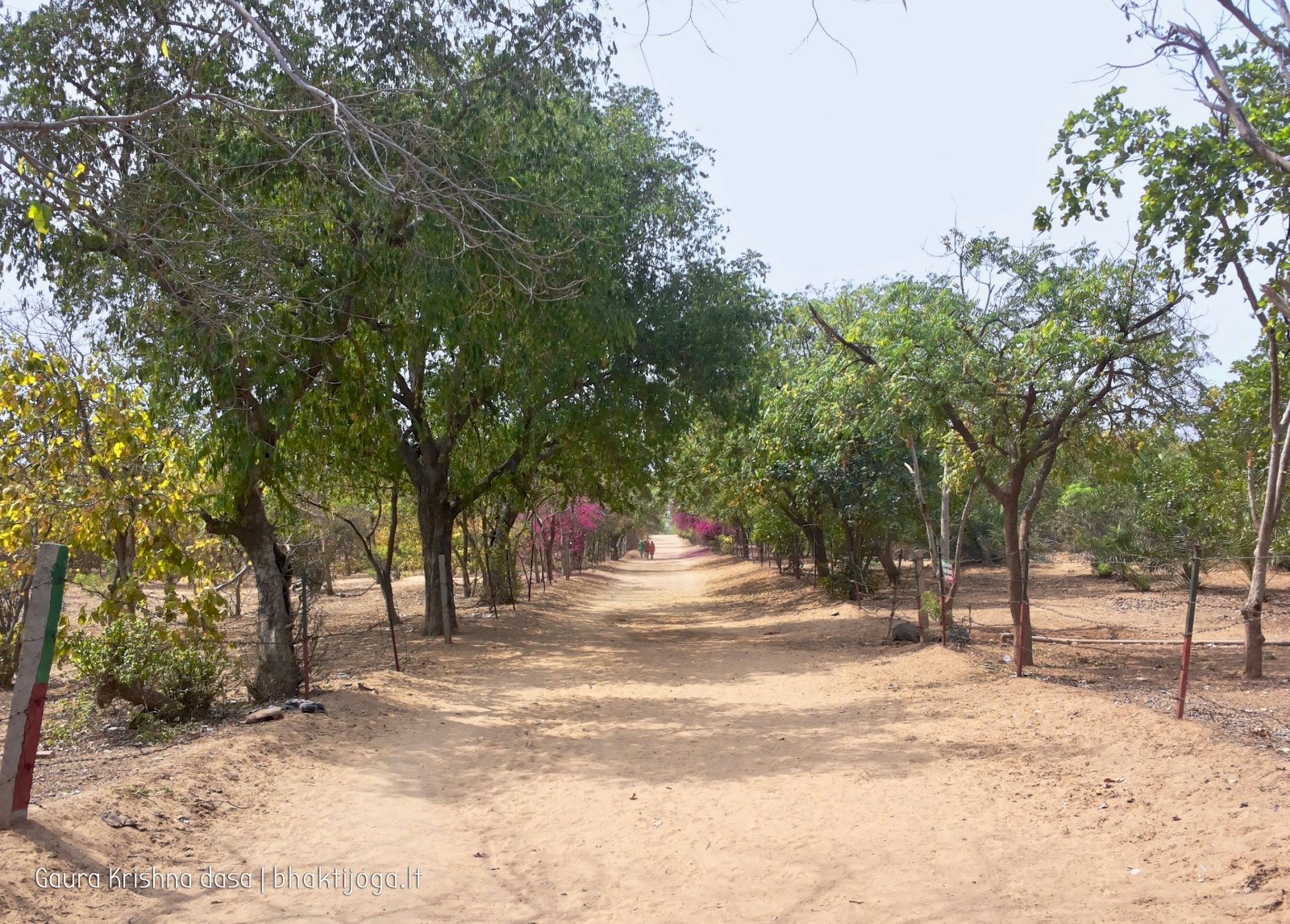 1 plants govardhan 2018