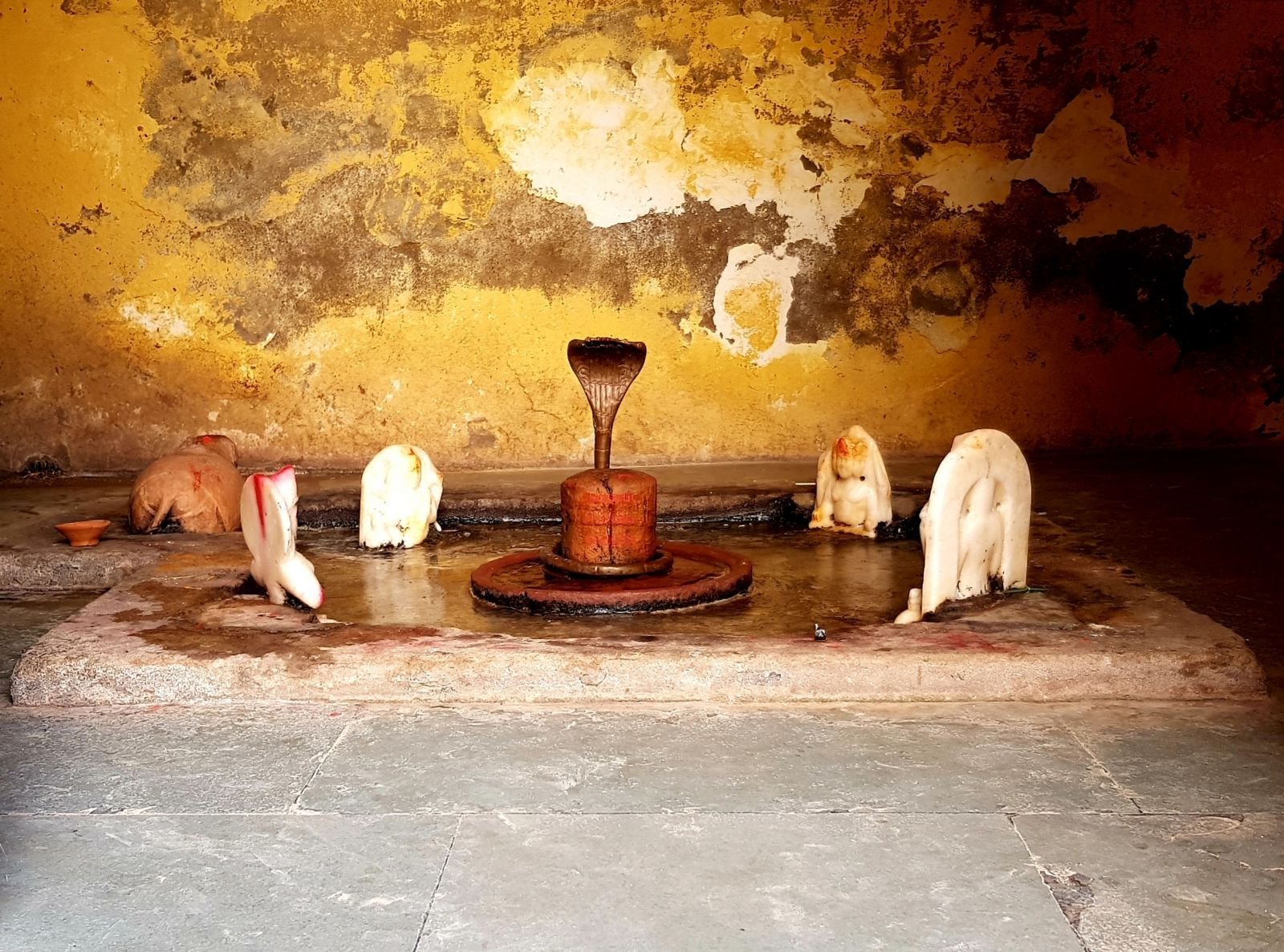 12 mukharai 2020 02 06