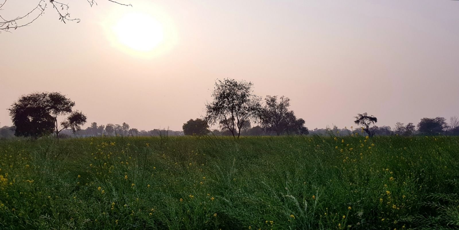 15 mukharai 2020 02 06