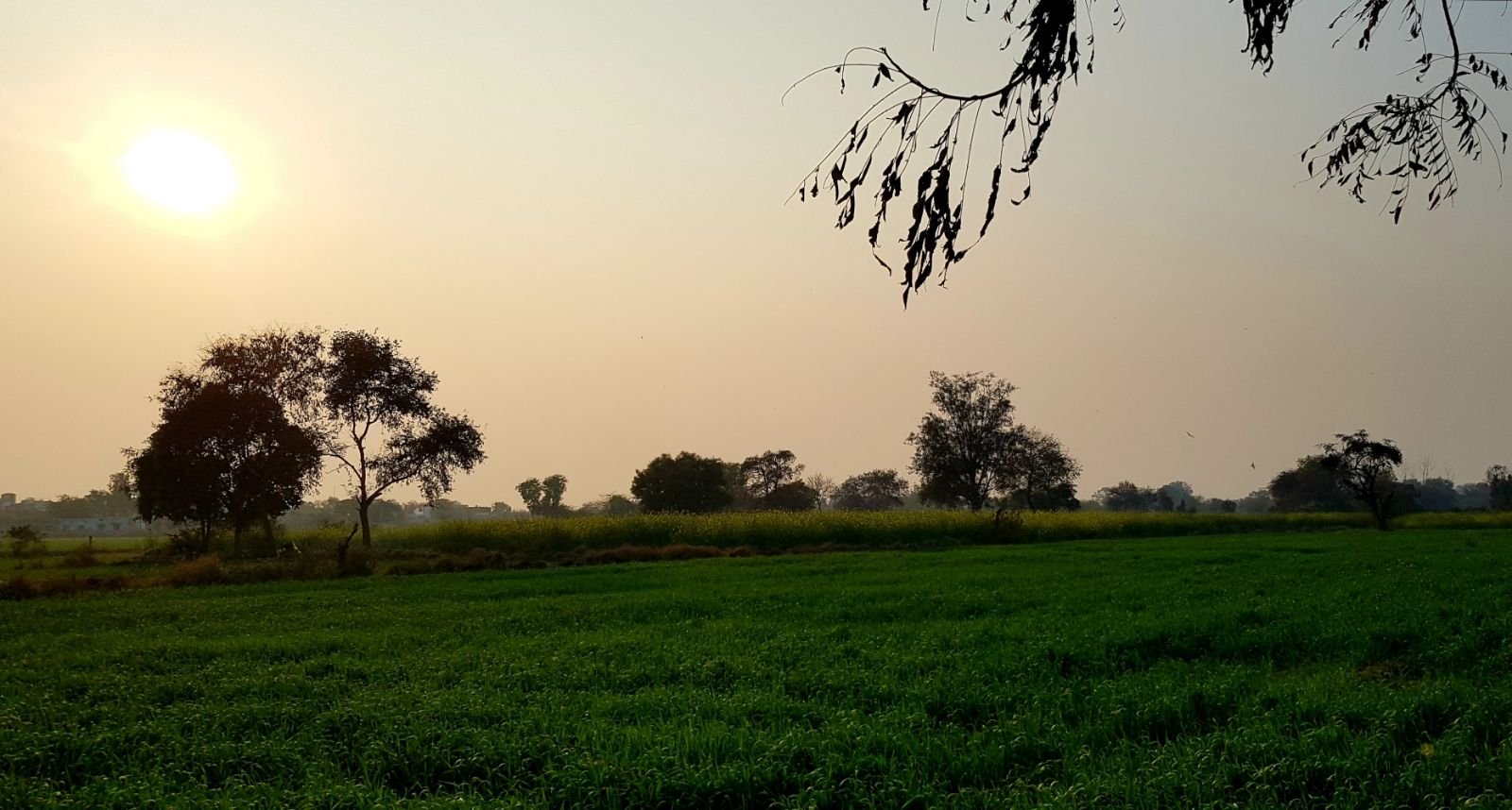 16 mukharai 2020 02 06