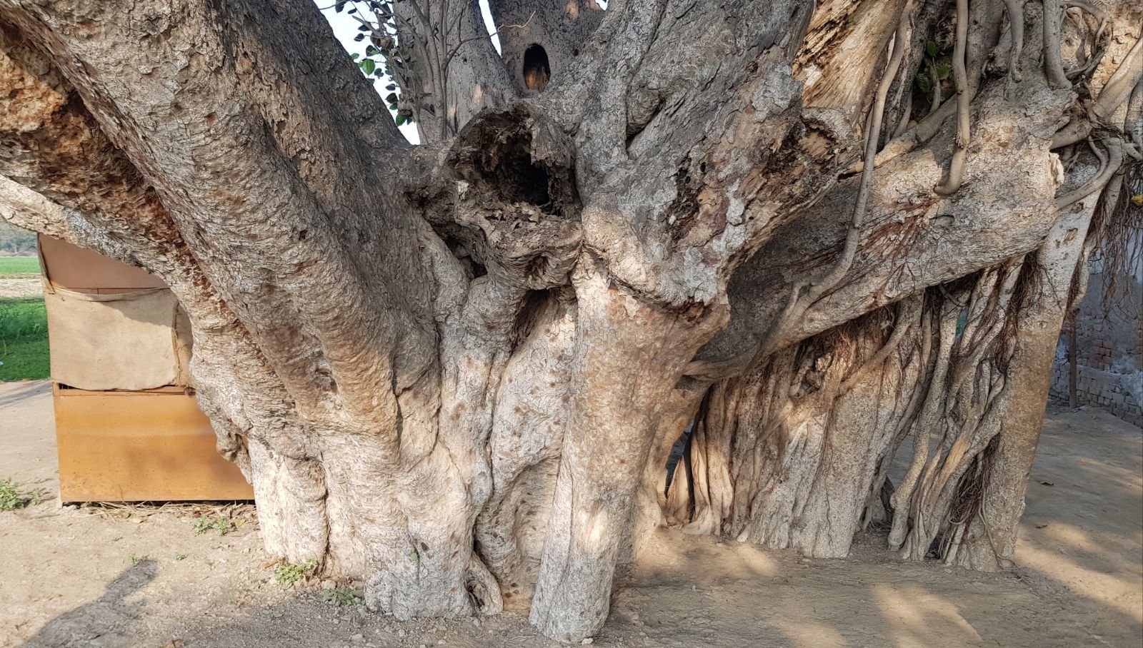 2 mukharai 2020 02 06