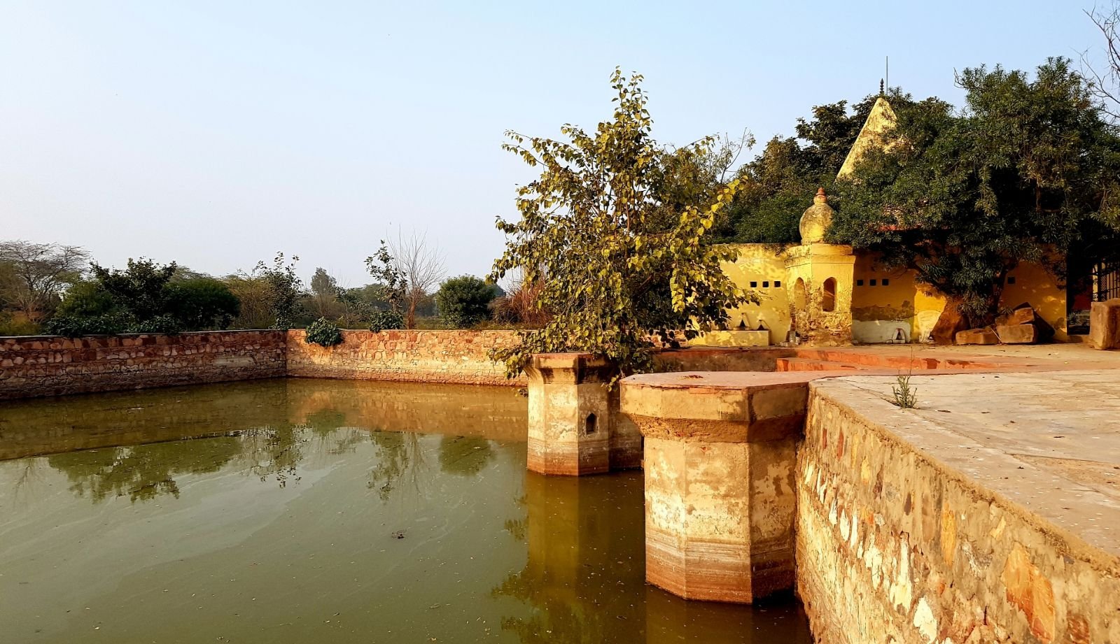 7 mukharai 2020 02 06