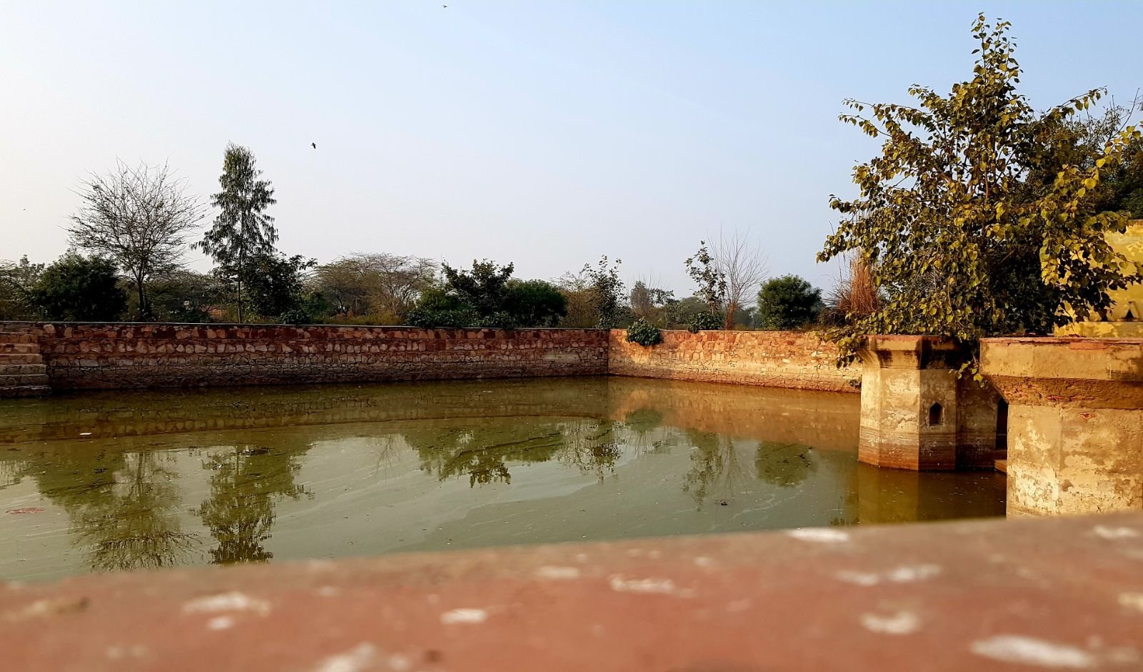 8 mukharai 2020 02 06