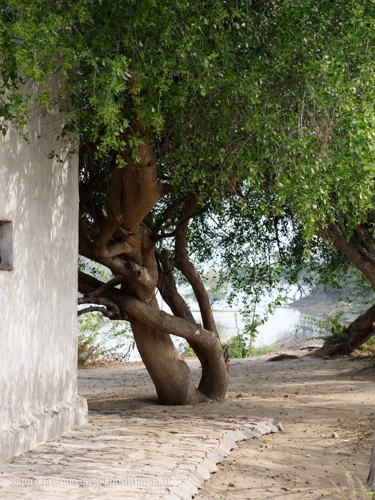 10 rasouli 2019 12 18