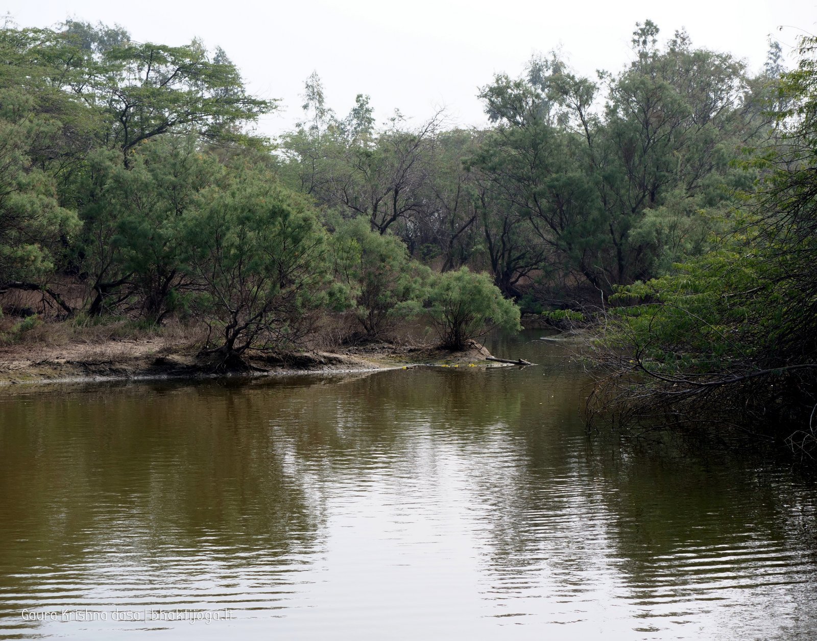 13 rasouli 2019 12 18