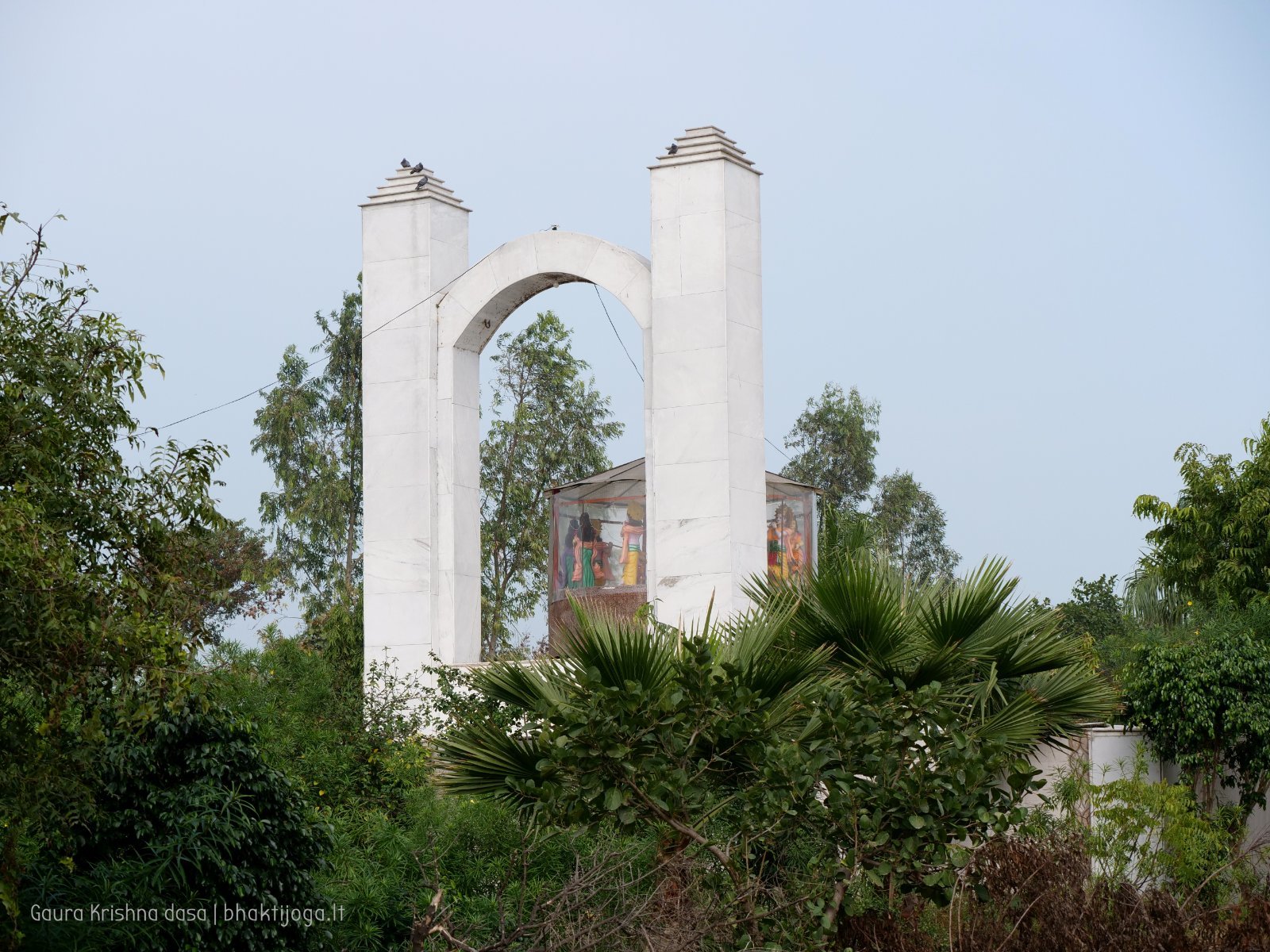 15 rasouli 2019 12 18