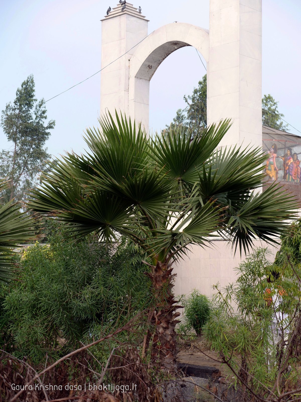 16 rasouli 2019 12 18