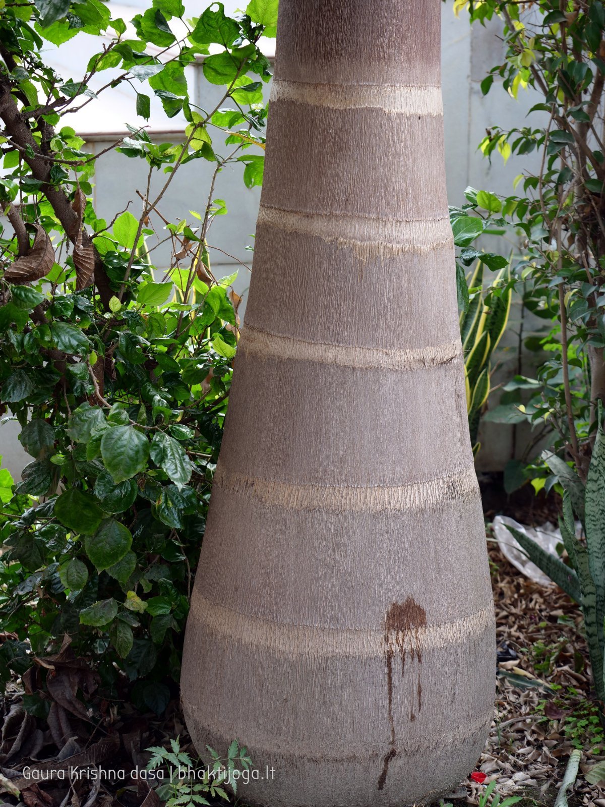 18 rasouli 2019 12 18