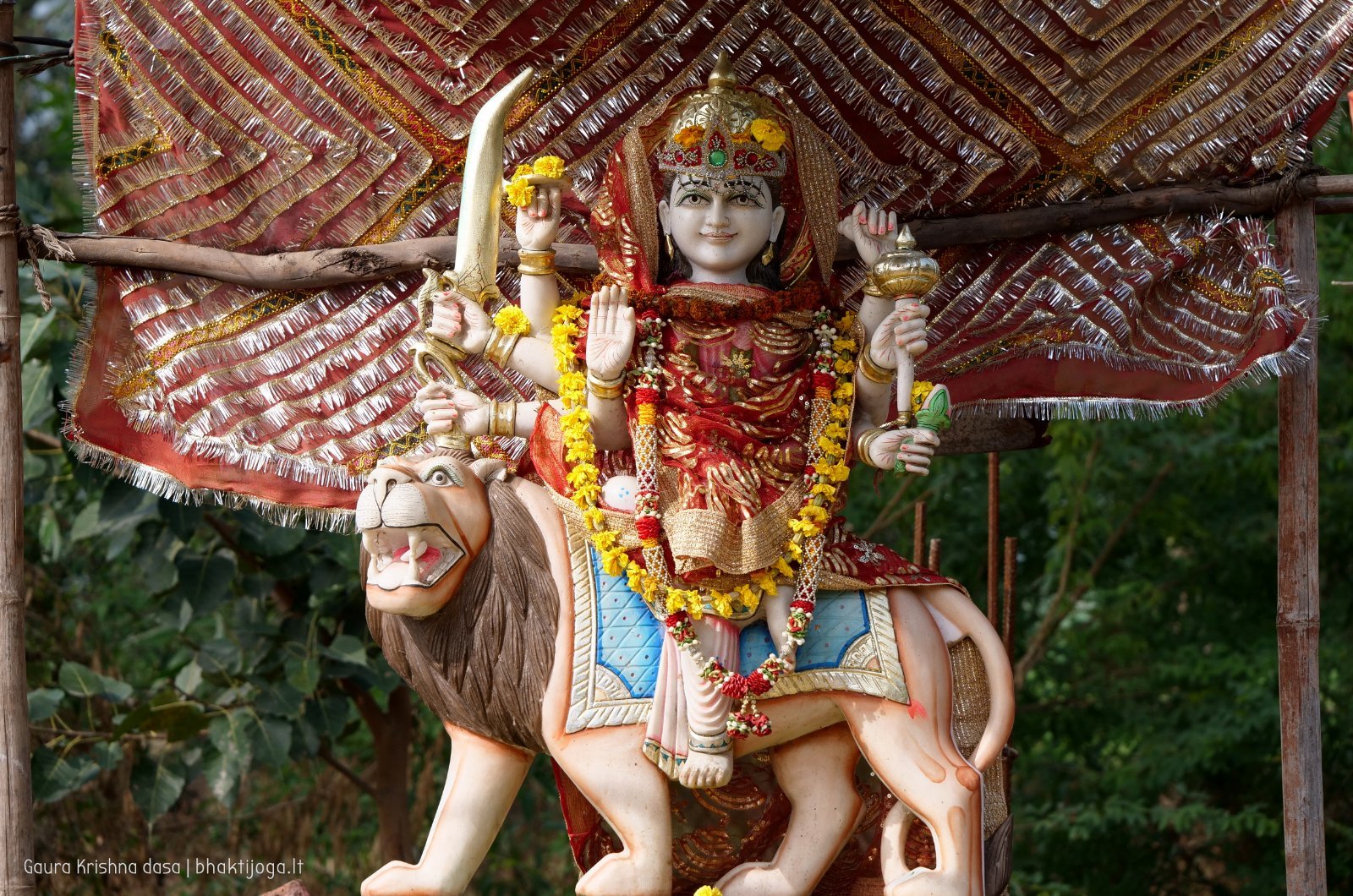 19 rasouli 2019 12 18