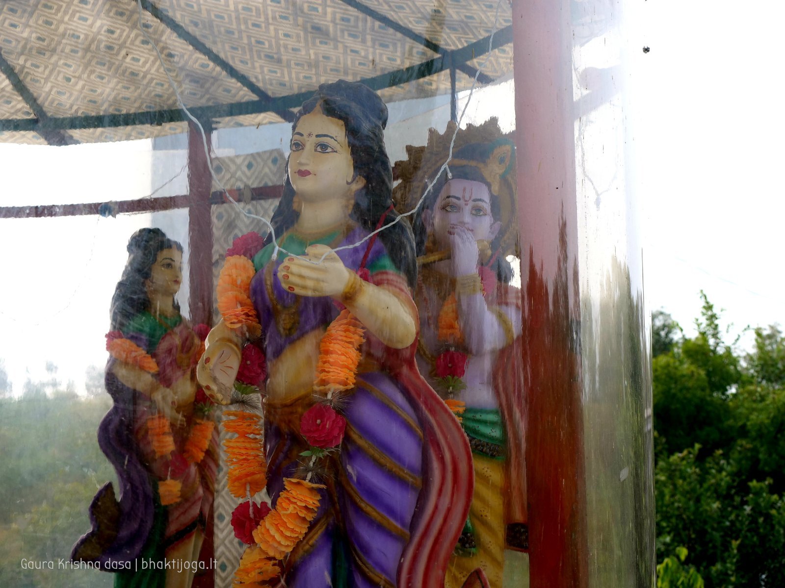 3 rasouli 2019 12 18