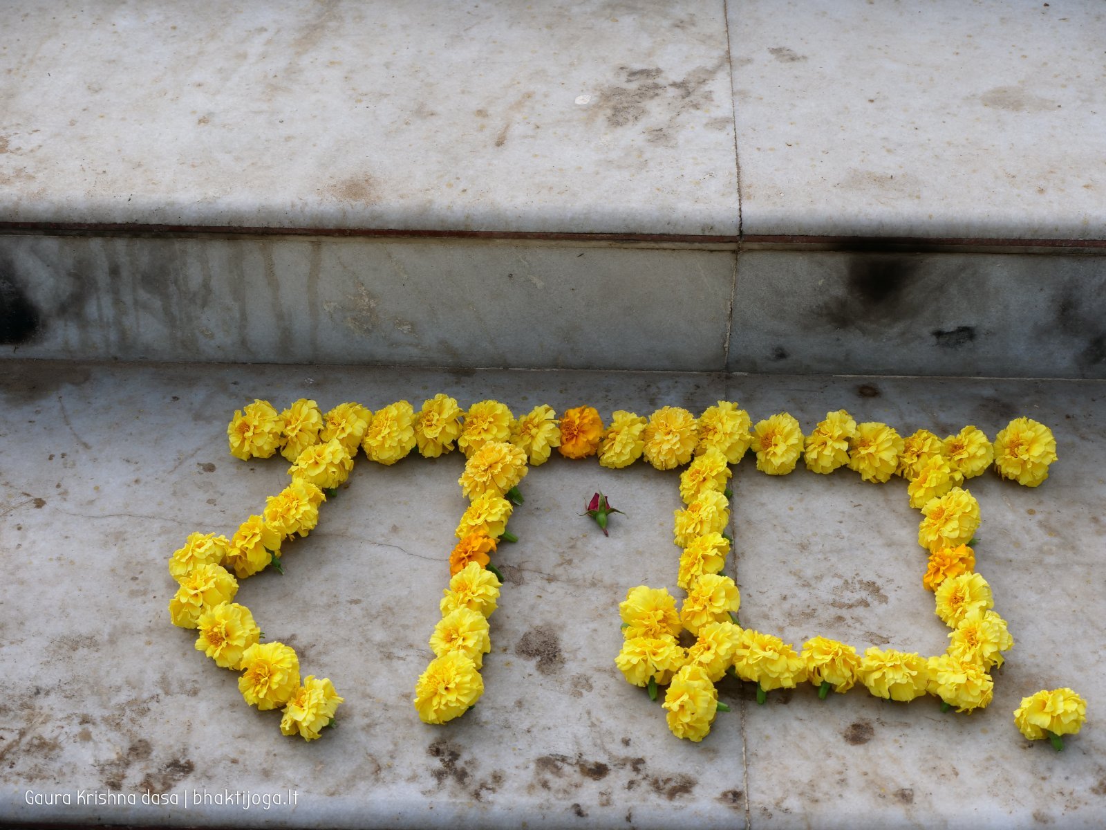 4 rasouli 2019 12 18