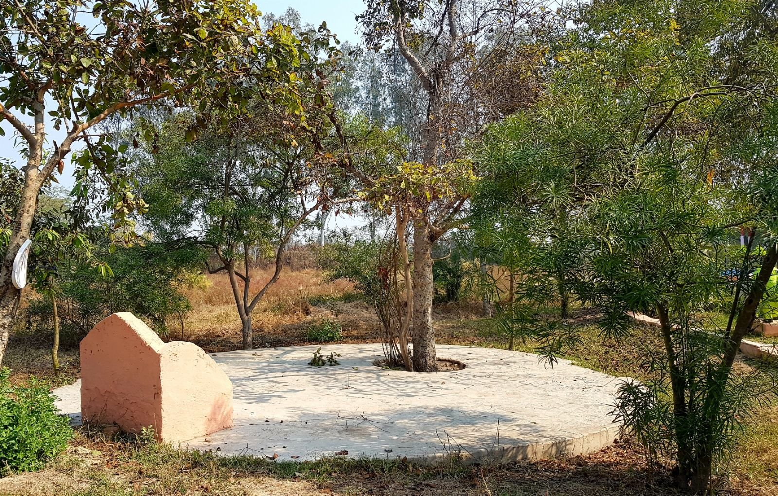 11 ter kadamba 2020 02 091