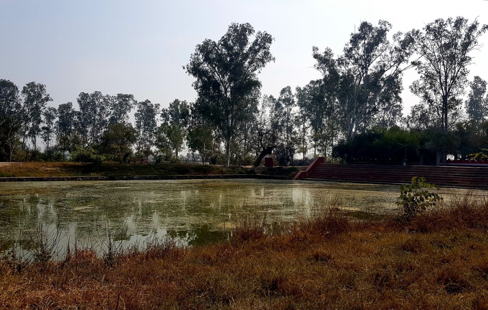 16 ter kadamba 2020 02 091