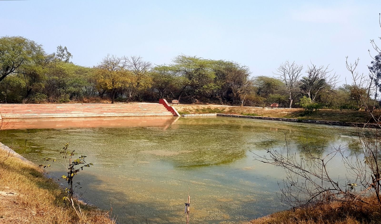 17 ter kadamba 2020 02 091