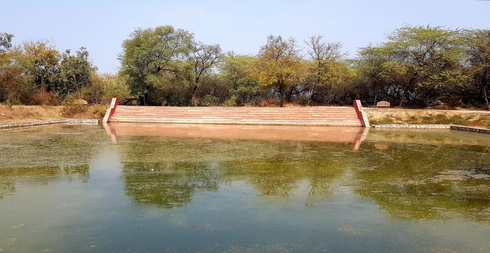 18 ter kadamba 2020 02 091