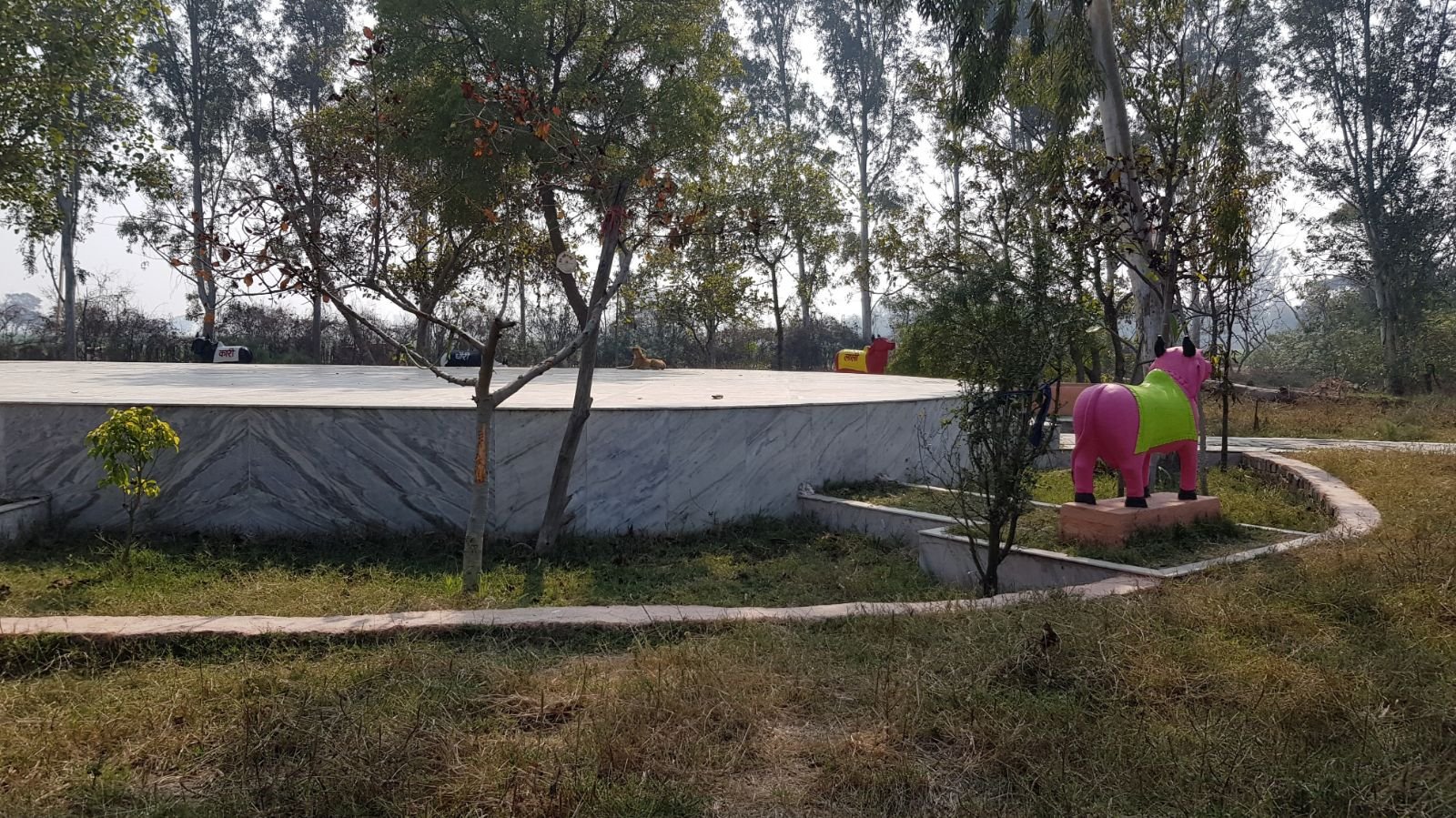 2 ter kadamba 2020 02 091