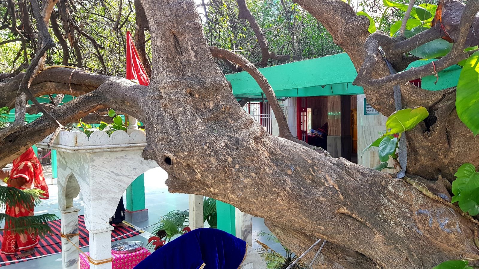 21 ter kadamba 2020 02 091