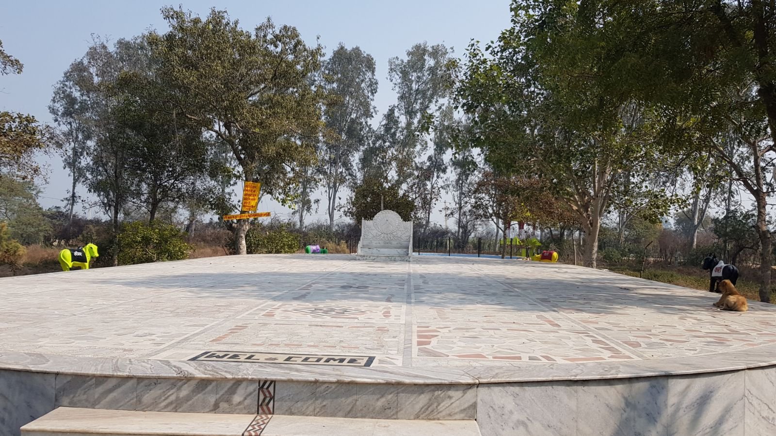 3 ter kadamba 2020 02 091