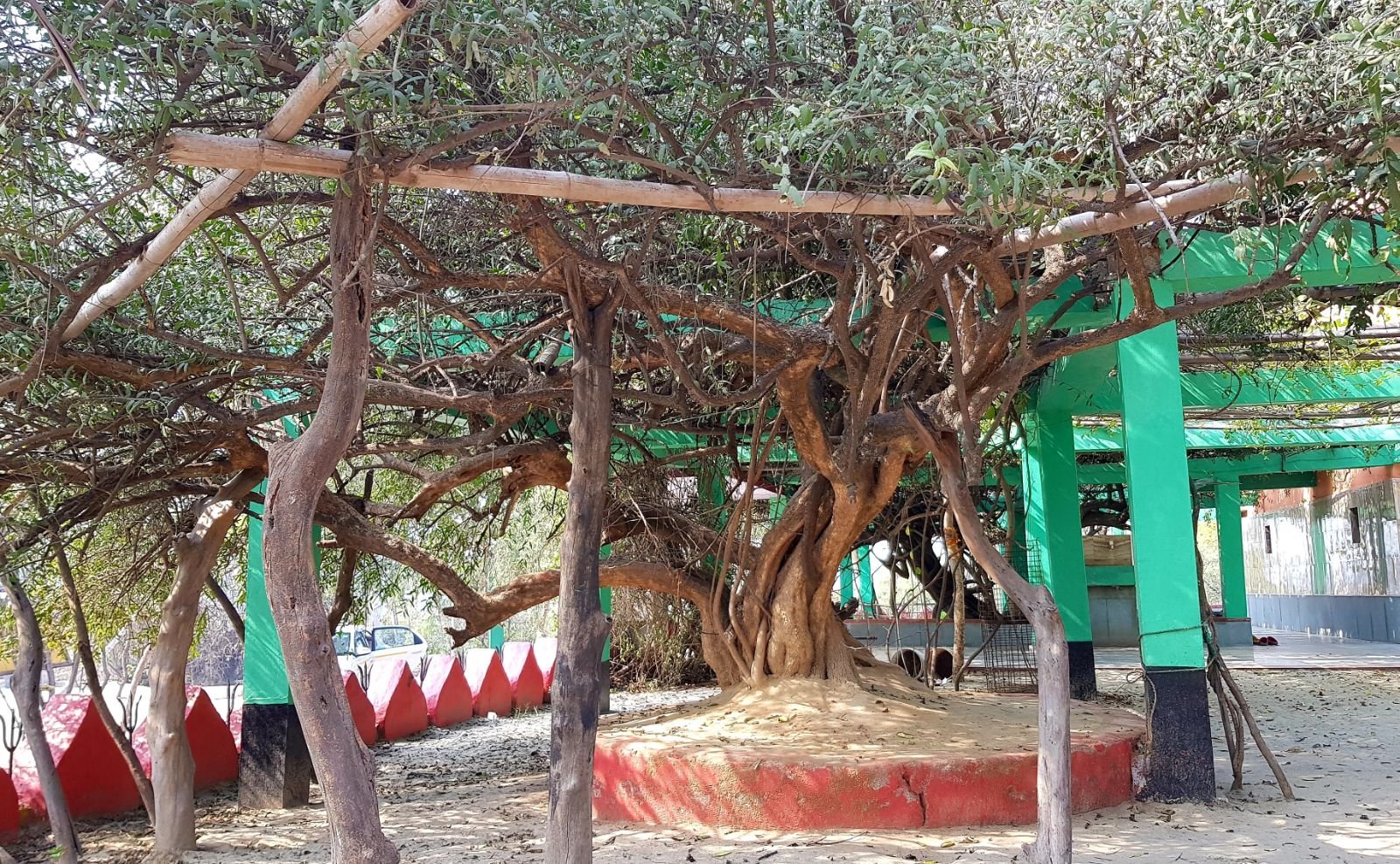 30 ter kadamba 2020 02 091